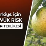 Gıdada Tehlike Baş Gösterdi: Milyonlarca Kişi Etkilenebilir