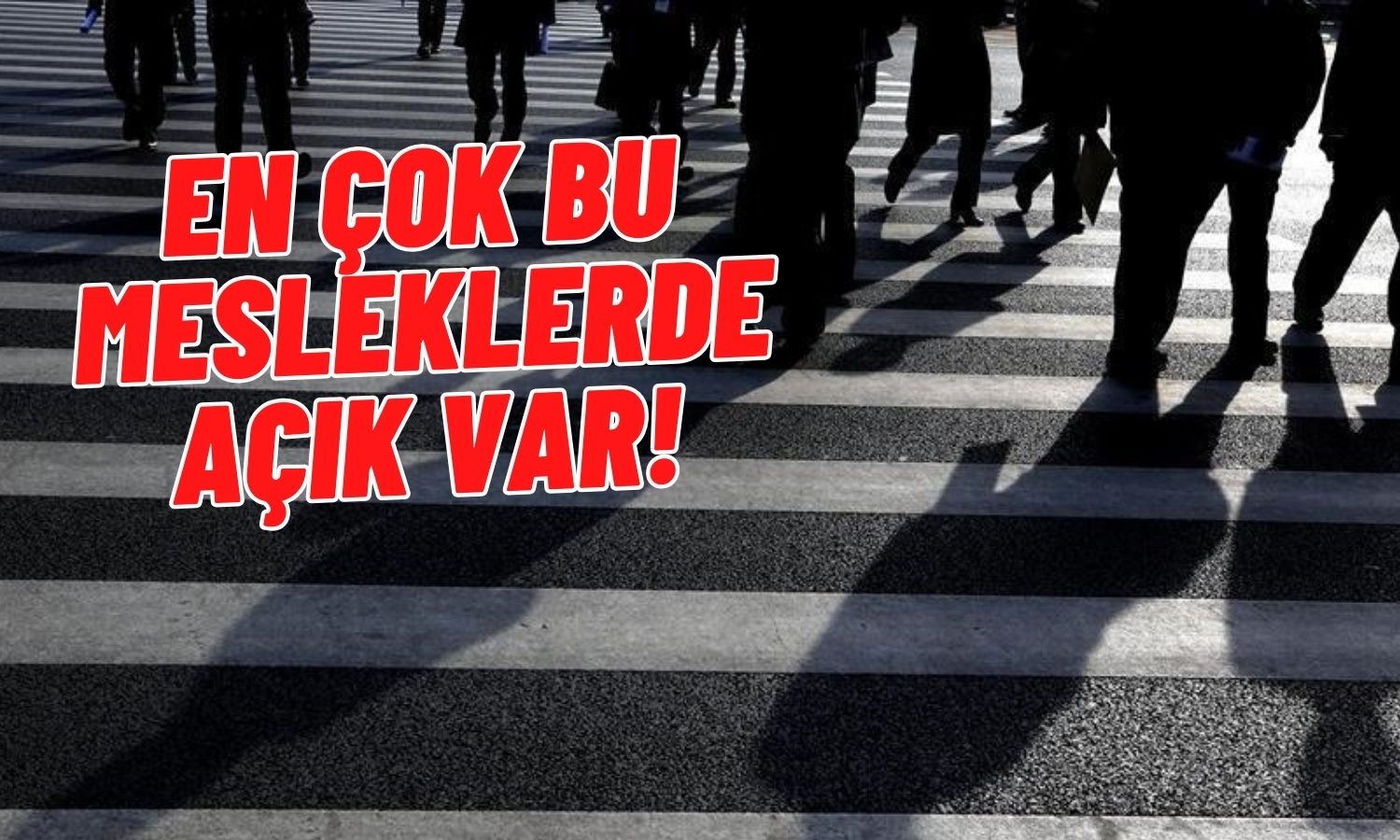 İŞKUR Raporu Paylaştı! İşte En Çok Eleman Aranan İlk 10 Meslek