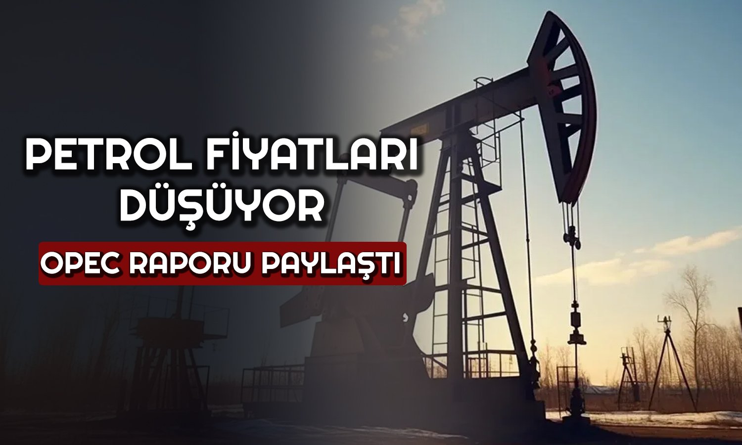 Küresel Petrol Talebi 2024’te Yükselecek! Fiyatlar Sert Düştü