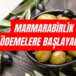 Marmarabirlik Ödemelere Başlıyor! İri Dane Alımları Yükseldi
