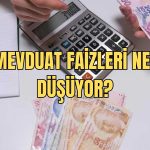 Mevduat Faizleri Düşerken Yatırımcının Yeni Rotası Ne?
