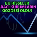 Model Portföylerde Ocak’ta En Çok Yer Verilen Hisseler!