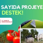 AB Katkılı Proje ile Tarımda 768 Milyon Lira Hibe Desteği Geliyor