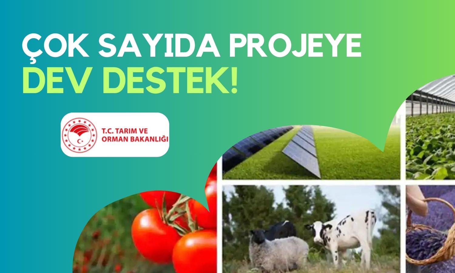 AB Katkılı Proje ile Tarımda 768 Milyon Lira Hibe Desteği Geliyor