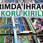 Tarım İhracatında 2023’te 35 Milyar Dolar ile Rekor Kırıldı