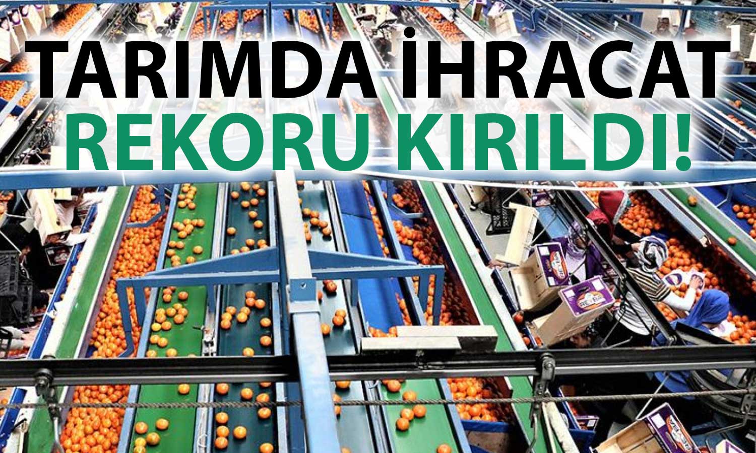 Tarım İhracatında 2023’te 35 Milyar Dolar ile Rekor Kırıldı