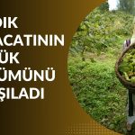 Türkiye’nin O İlinden Tam 59 Ülkeye İhracat Atağı!