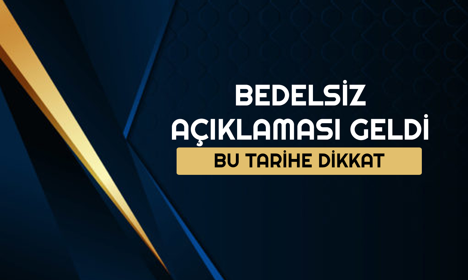 Yüzde 100 Bedelsiz için Tarih Açıklandı! 100 Lot 200 Olacak