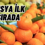 2023’te Narenciye İhracatı 1 Milyar Doları Aştı