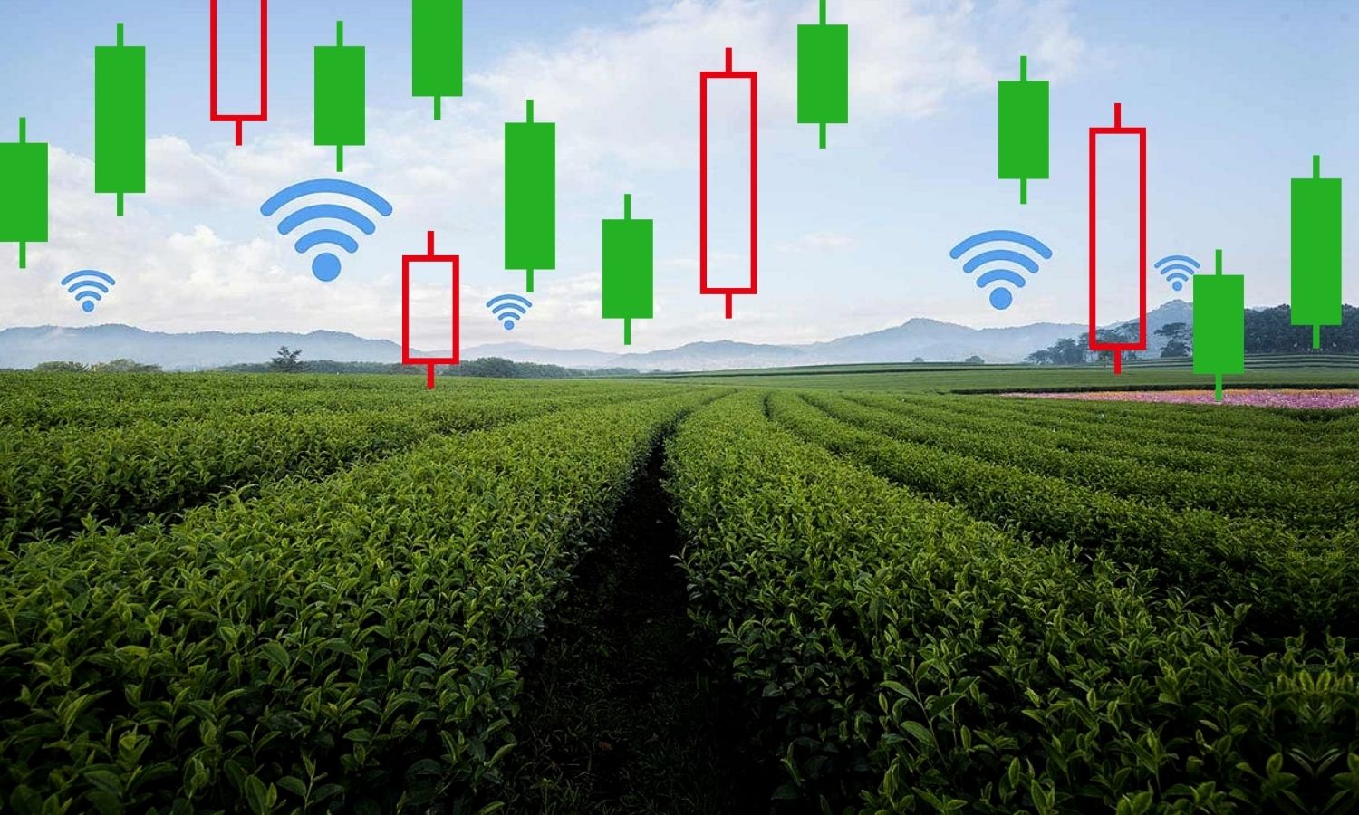 Agrotech Halka Arz Sonrası Uçtu! Bir Şirket Daha Alıyor