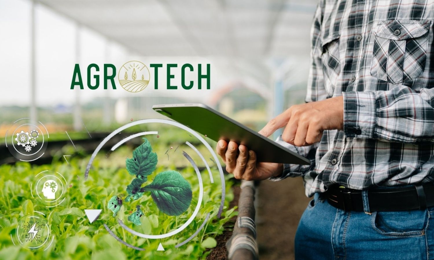 Agrotech’ten Alım Duyurusu: Patronlar Hisseleri Topluyor!