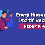 Al Tavsiyesi Verilen Enerji Hissesinde Hedef 55 TL