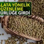 Bakanlık Duyurdu: Yeşil Mercimek İthalatında Vergi Sıfırlandı