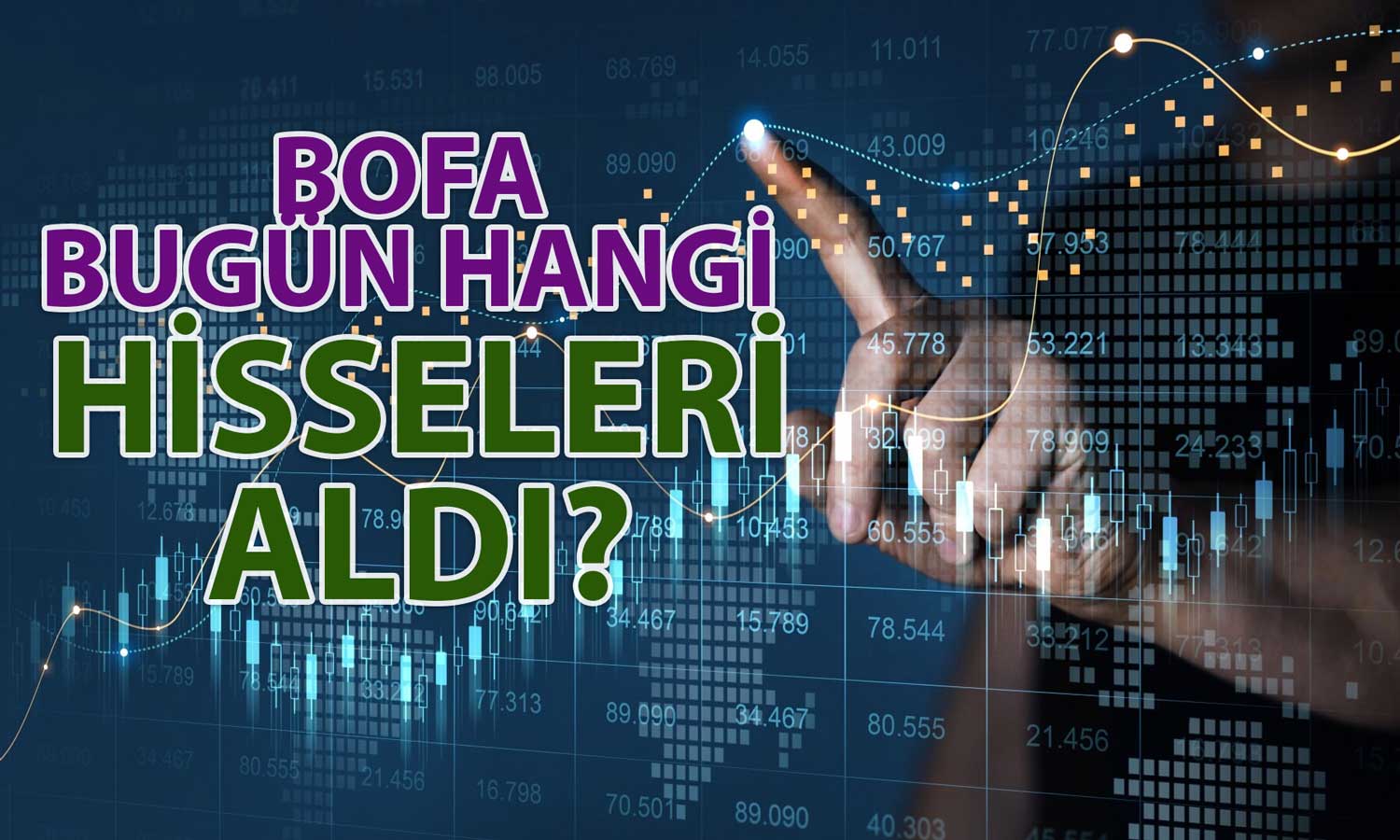 BofA 660 Milyon TL’lik Alımda Aslan Payını O Hisseye Ayırdı!