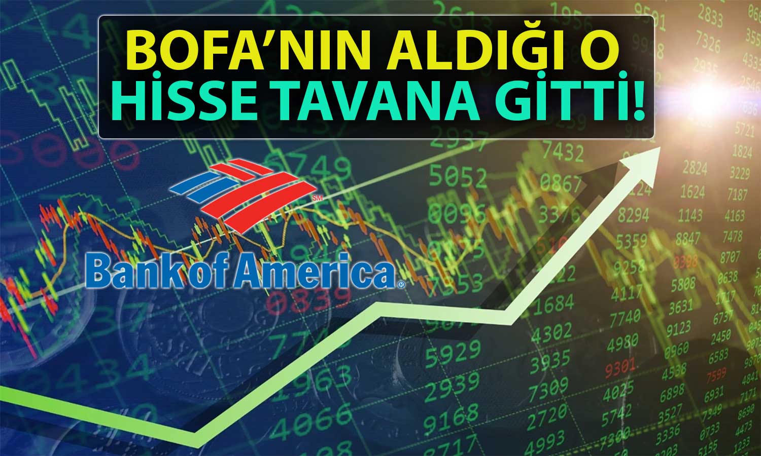 BofA Borsadaki Rallinin Ortasında Satışlara Ağırlık Verdi