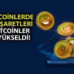 BONK Rallisi ile Piyasa Değerini Katladı: Rakibini Solladı!