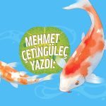 Borsa Nimetlerinden Küçük Yatırımcı Neden Faydalanamıyor?