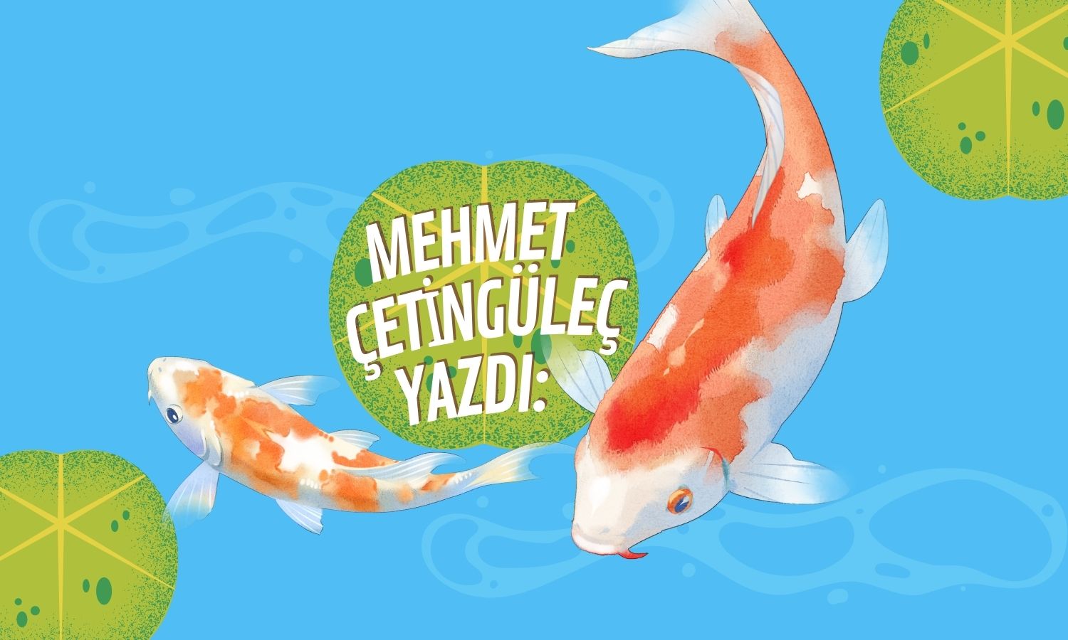 Borsa Nimetlerinden Küçük Yatırımcı Neden Faydalanamıyor?