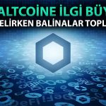 Bu Altcoin Bir Ayda Yüzde 40 Arttı: Balinalar Toplamayı Sürdürdü