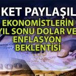 Ekonomistlerden Yıl Sonu Dolar ve Şubat Ayı Enflasyon Tahmini