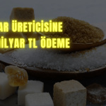 KAYSE Çiftçilere 4,5 Milyar TL Ödeme Yapacak