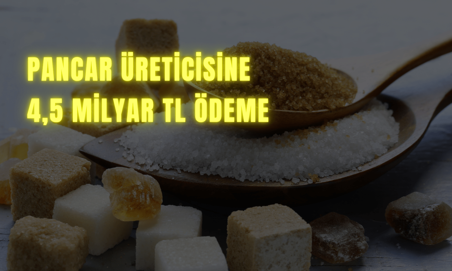 KAYSE Çiftçilere 4,5 Milyar TL Ödeme Yapacak
