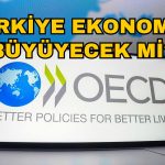 OECD Gözünden Türkiye ve Dünya Ekonomisi