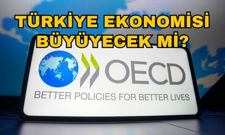 OECD Gözünden Türkiye ve Dünya Ekonomisi