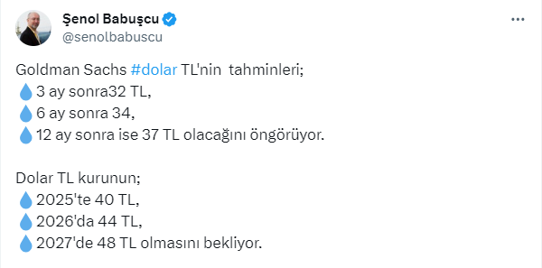 Şenol Babuşcu Dolar/TL
