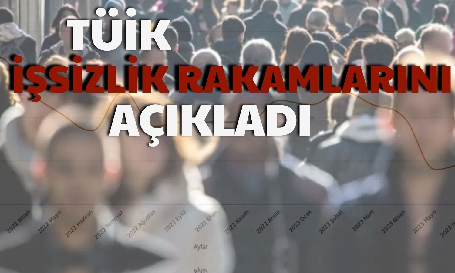 TÜİK Açıkladı: 2023 İşsizlik Oranında Düşüşle Kapandı