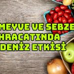 Türk Meyve ve Sebzeleri 106 Ülkede Talep Görüyor