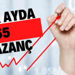 Yabancı Oranı Artan Hissede Aylık Getiri Yüzde 65!