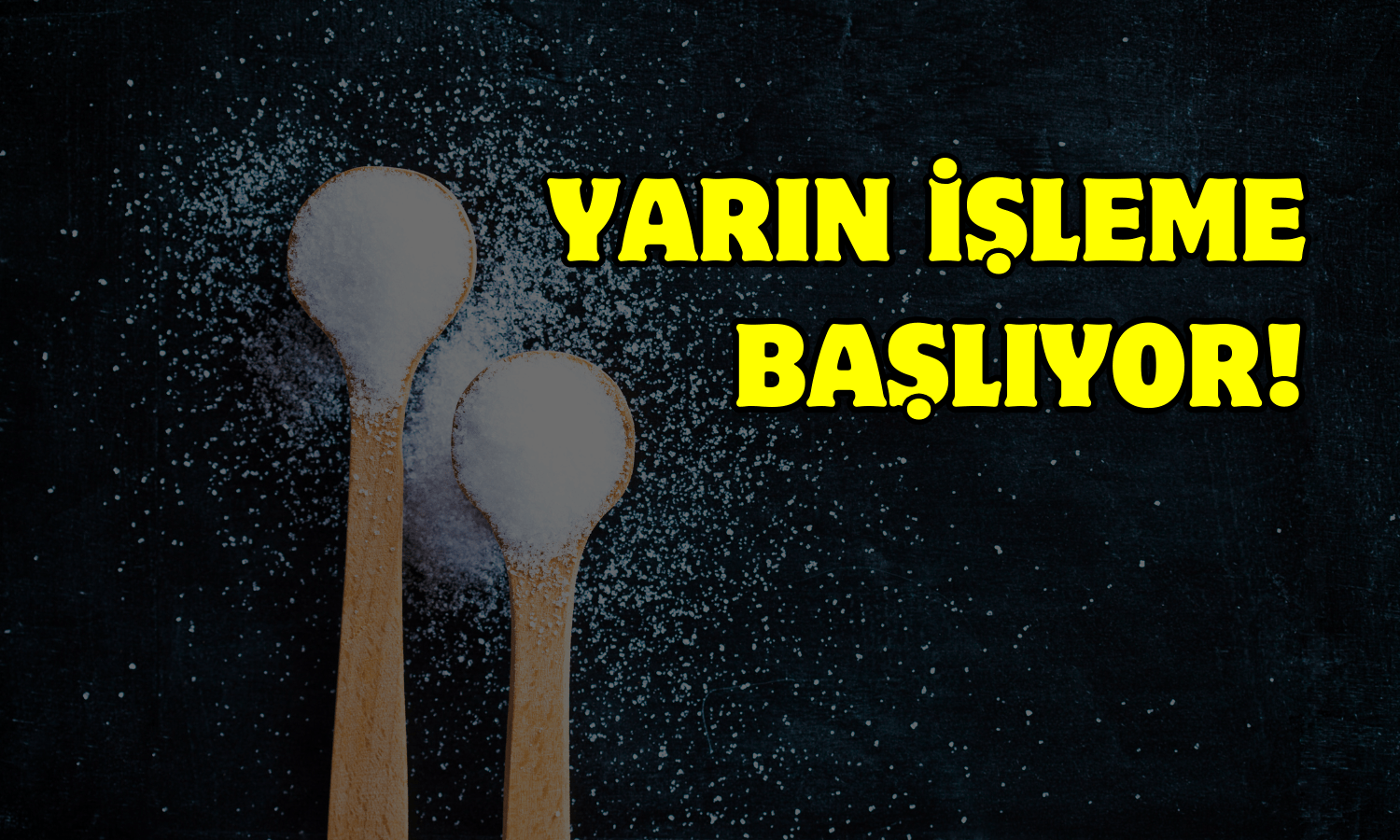 Yarın İşleme Başlıyor! Halka Arz 7 Endekste Yer Alacak