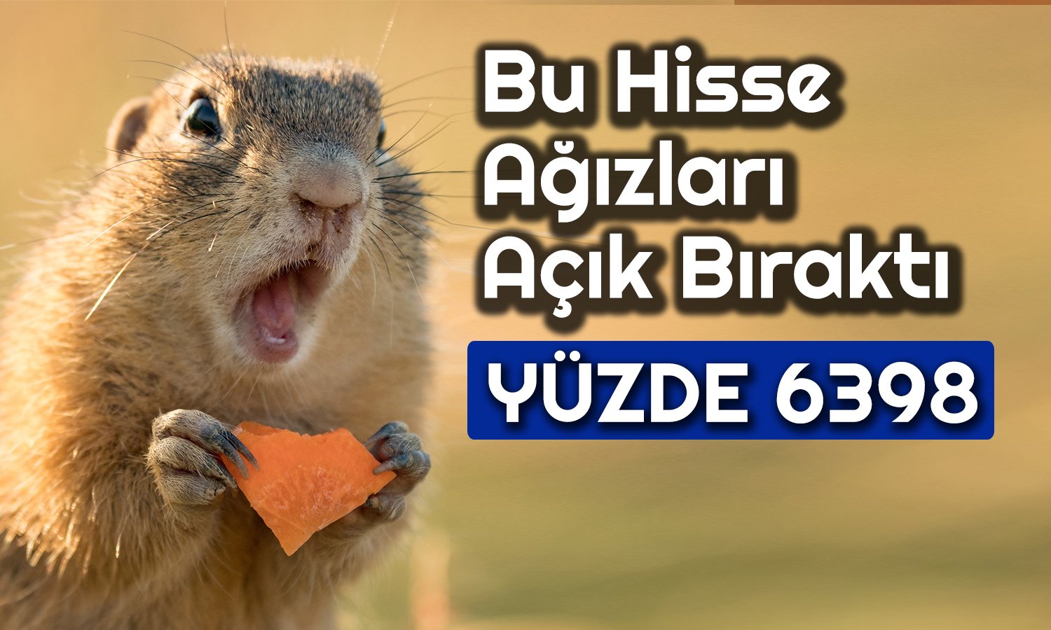 241 TL’den 15 Bin TL’ye Çıkan Hisse Herkesi Şoke Etti