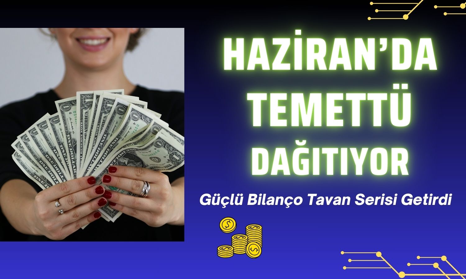 Yüzde 538 Kar Oranıyla Tavan Olan Şirket Temettü Dağıtacak!