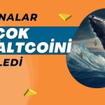 DOGE ya da BNB Değil! Balinalar Bu Altcoinin Düşüşünden Sorumlu!