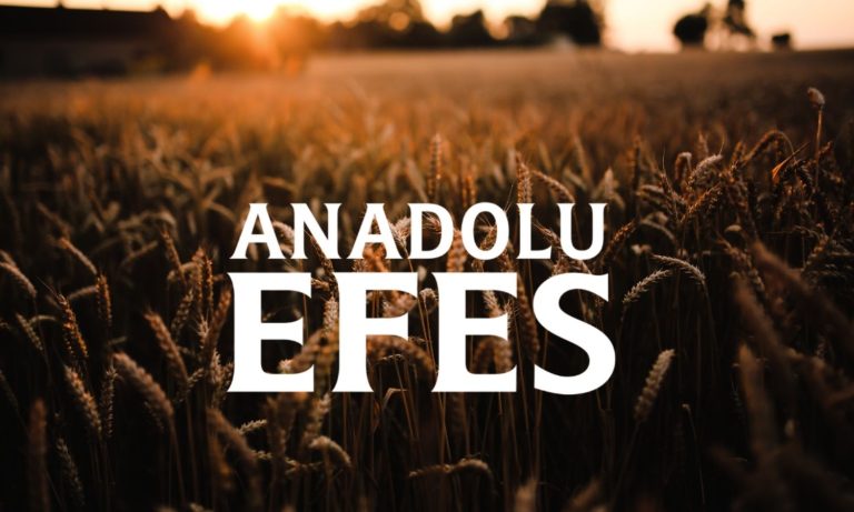 Bilanço Sonrası Anadolu Efes için Hedef Fiyat Geldi