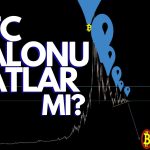 Bitwise CIO’su BTC Tüyosu Verdi