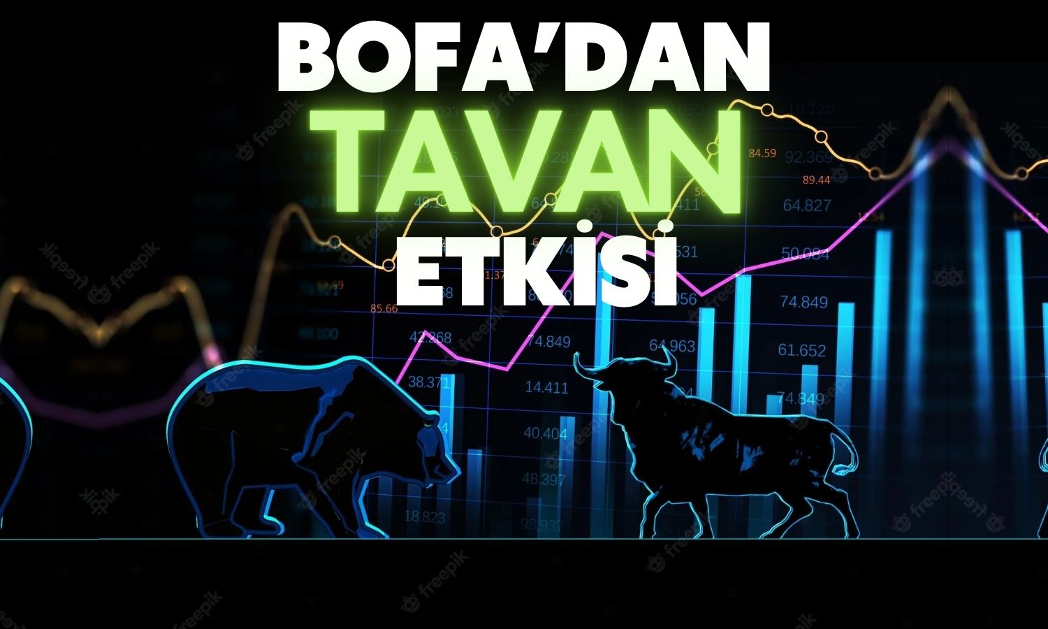 BofA Yeni Halka Arzın Düşmesine İzin Vermiyor! Hisseler Yine Tavan