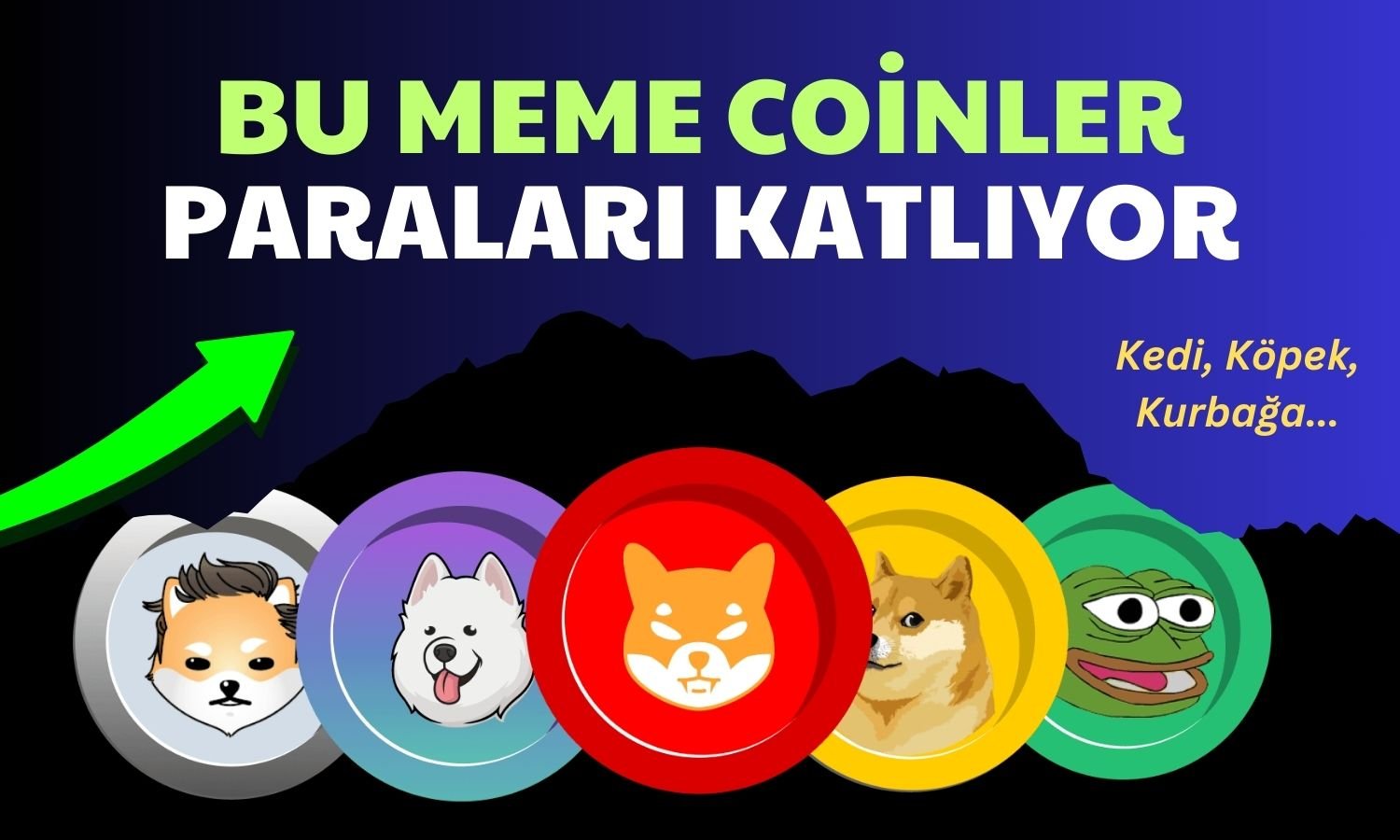 Kedi ve Köpekler Kripto Pazarını Ele Geçirdi: En İyi Meme Coinler