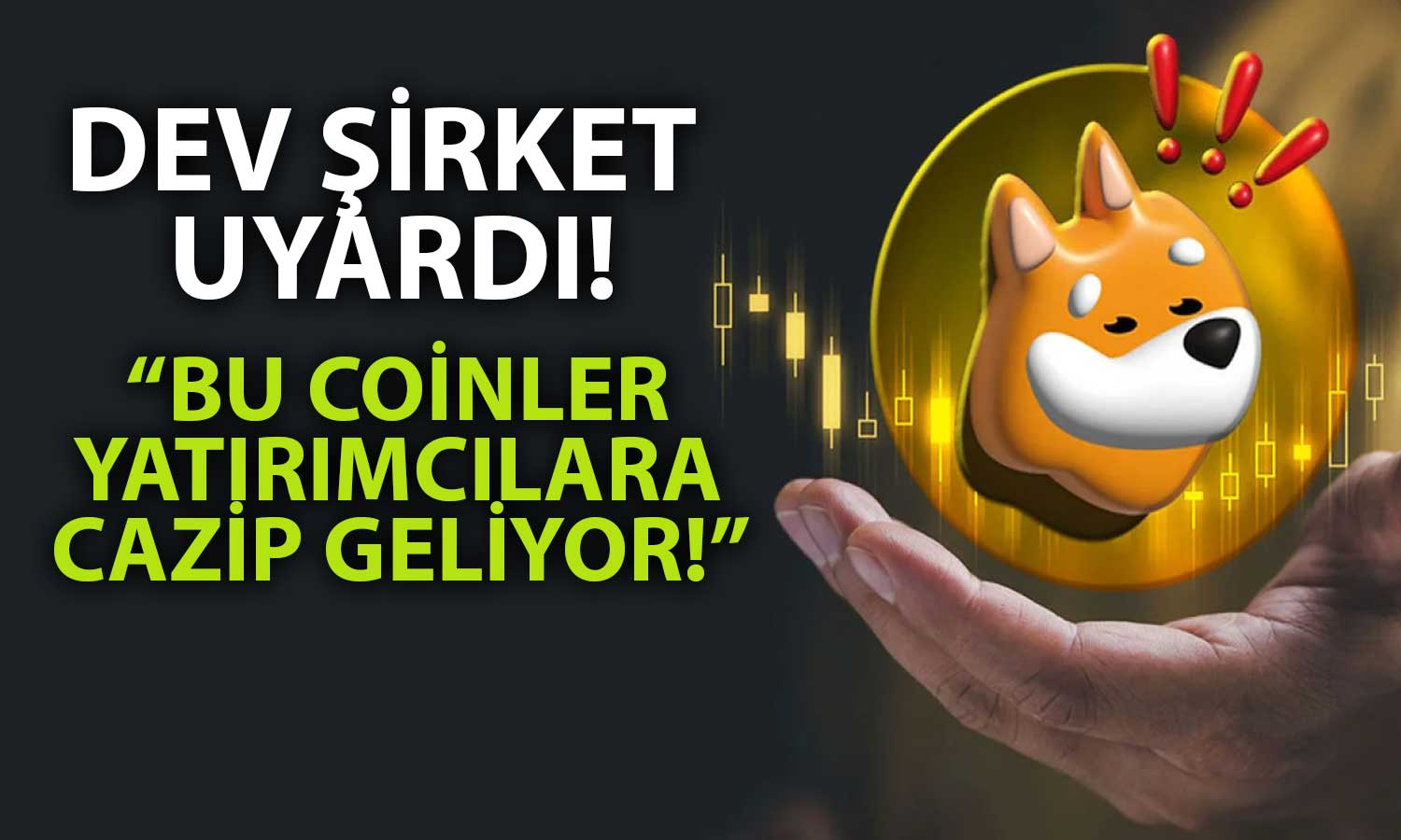 Finans Devinden Meme Coin Tutanları İlgilendiren Paylaşım!