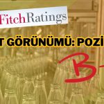 Fitch, Hisseleri 4 Haftadır Düşen Cam Şirketinin Notunu Verdi