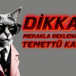 Hissesi 3735 TL’ye Çıkan Şirket Ne Kadar Temettü Verecek?