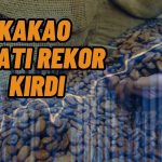 Kakao Fiyatı Hızla Yükseliyor! Ağzımızın Tadı Kaçacak!