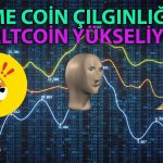 Meme Coin Rüzgarı Kullanıcılara En Çok O Altcoini Aratıyor!