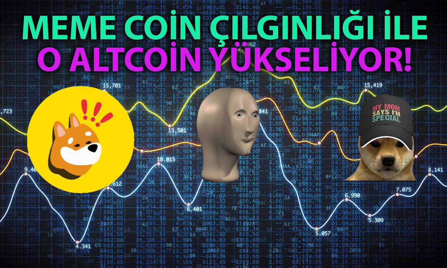 Meme Coin Rüzgarı Kullanıcılara En Çok O Altcoini Aratıyor!