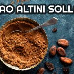 Rekor Kıran Kakao Kazancıyla Bitcoin’i Geride Bıraktı