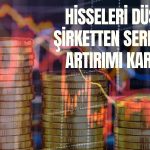 Sermaye Artırımı Düşen Hisselere Can Suyu Olmadı