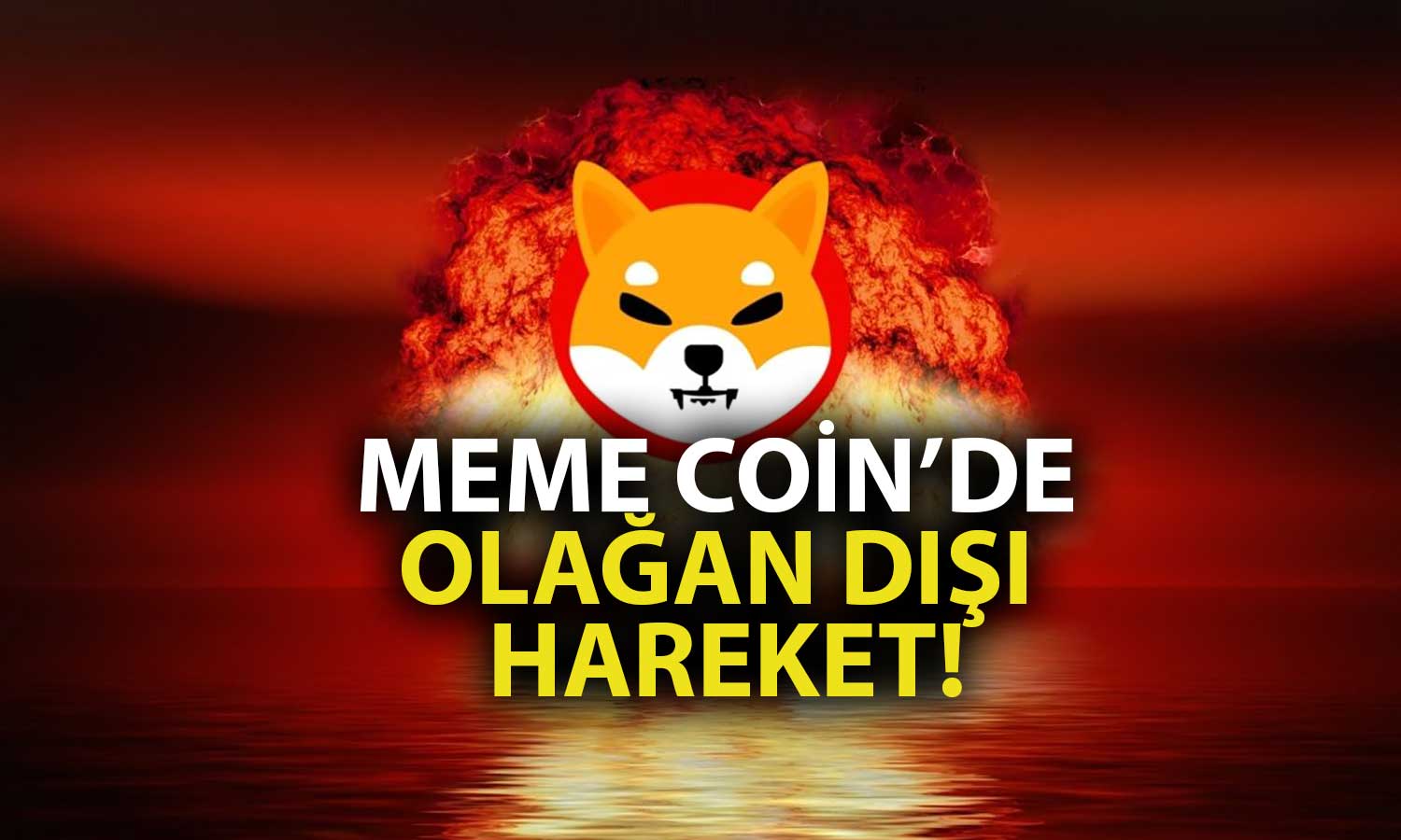 Shiba Inu (SHIB) Bu Borsada Yüzde 50 Düştü: İşte Son Durum