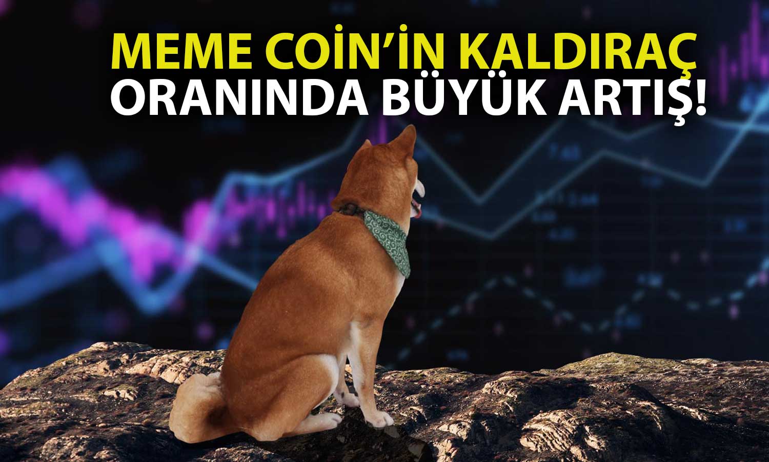 Shiba Inu’nun Bu Oranında Büyük Artış Var: Sert Hareket Sinyali!